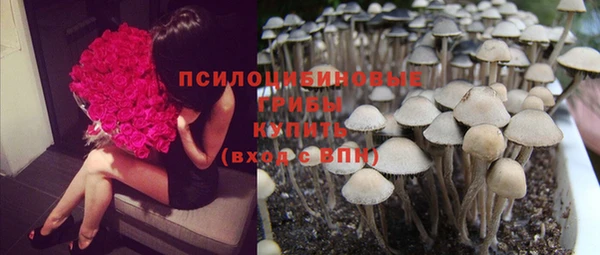 крисы Горно-Алтайск