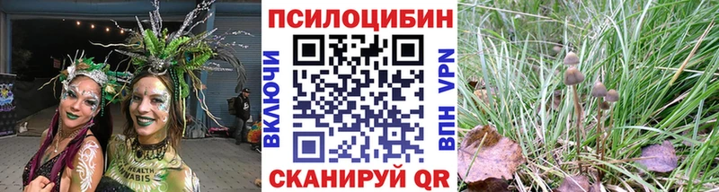 shop телеграм  Кызыл  Псилоцибиновые грибы GOLDEN TEACHER  где можно купить наркотик 
